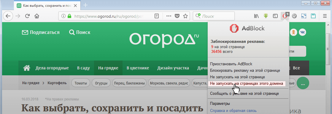 Тест №17 Какой стиль ландшафтного дизайна подойдет именно Вам?