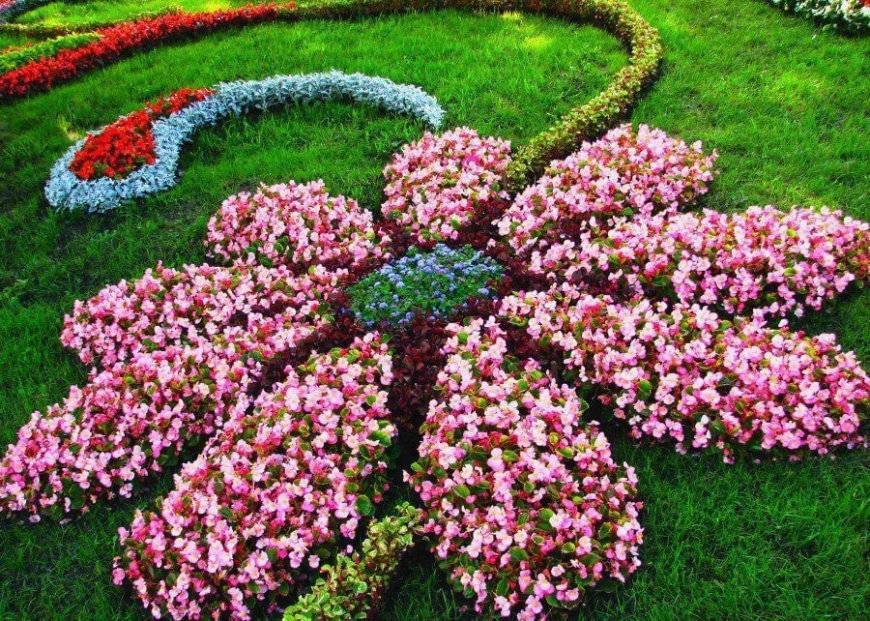 Что делать с цветочными клумбами на даче в сентябре?