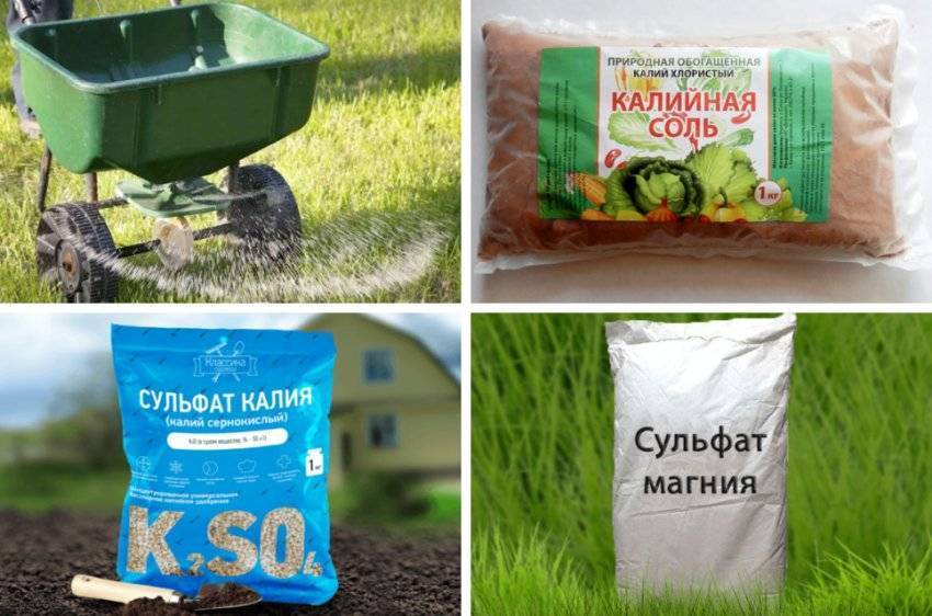 Рулонный газон на загородном участке: все «за» и «против»