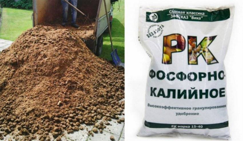 Рулонный газон на загородном участке: все «за» и «против»