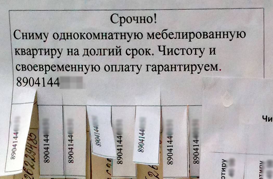 Топ-5 советов по оформлению квартиры если у вас есть собака | фото квартир