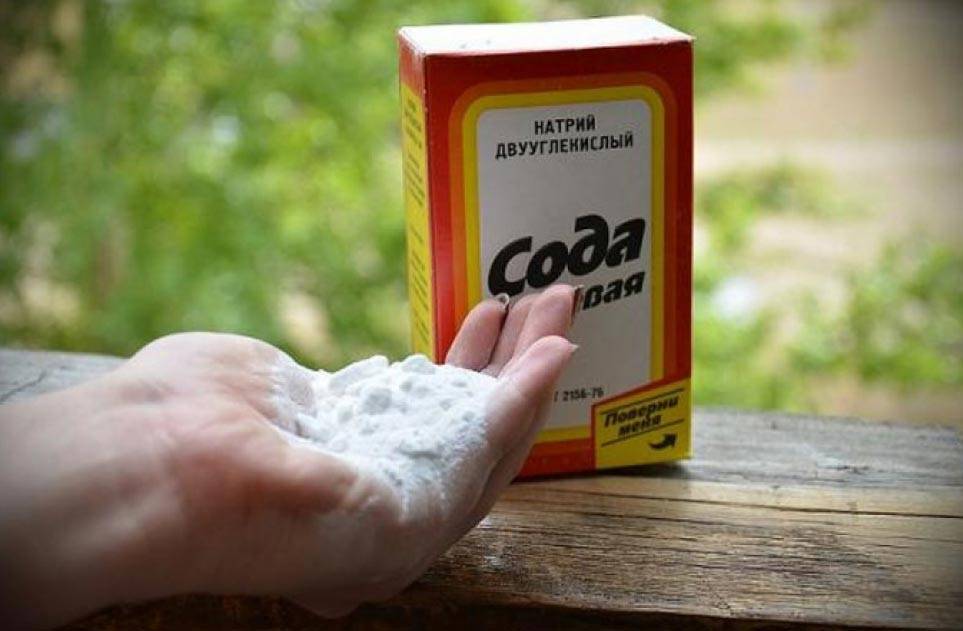 Действенный способ избавиться от плесени и грязных швов между плитами