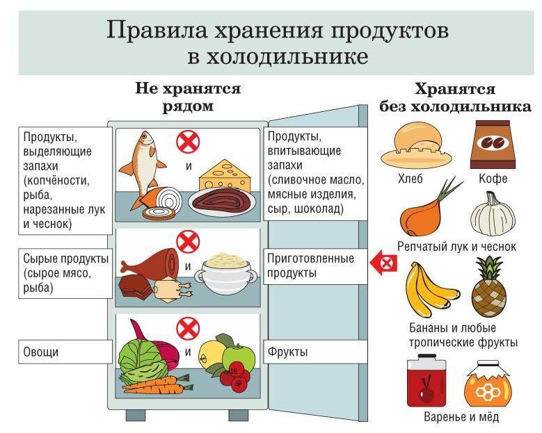 Виды контейнеров для холодильника по материалам, устройству, принципу действия