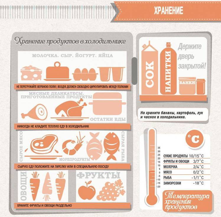 Как и где правильно хранить овощи и фрукты в холодильнике: температура хранения зелени, чеснок зимой