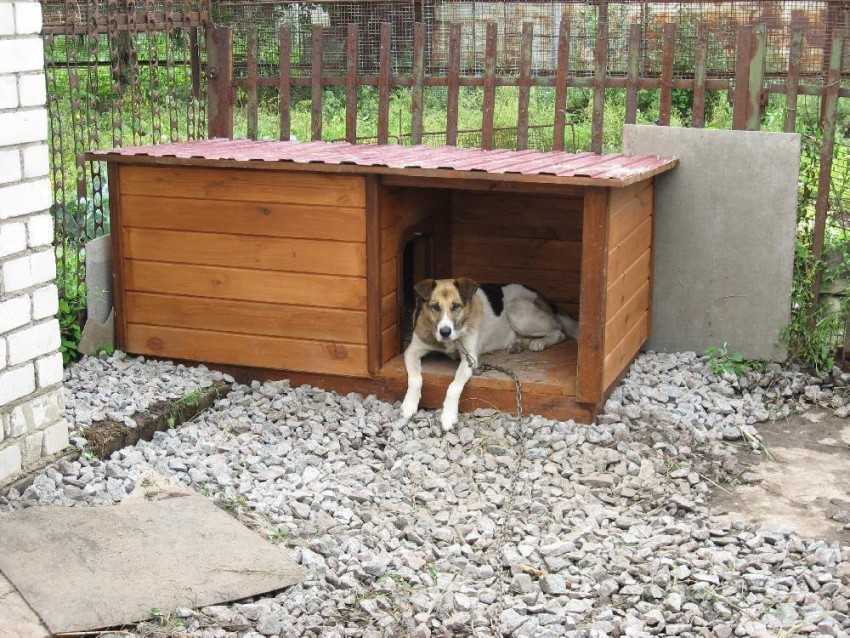 Будка для собаки на приусадебном участке [5 интересных идей]