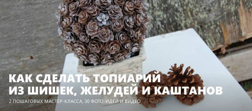 Топиарий, новогодняя елочка, животные и другие поделки из каштанов (12 фото)
