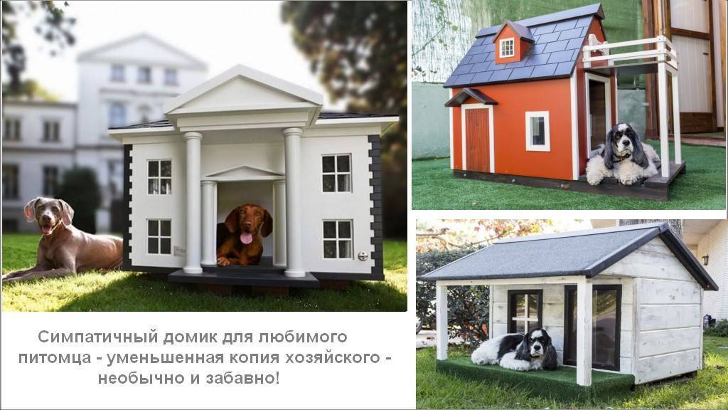 Будка для собаки на приусадебном участке [5 интересных идей]