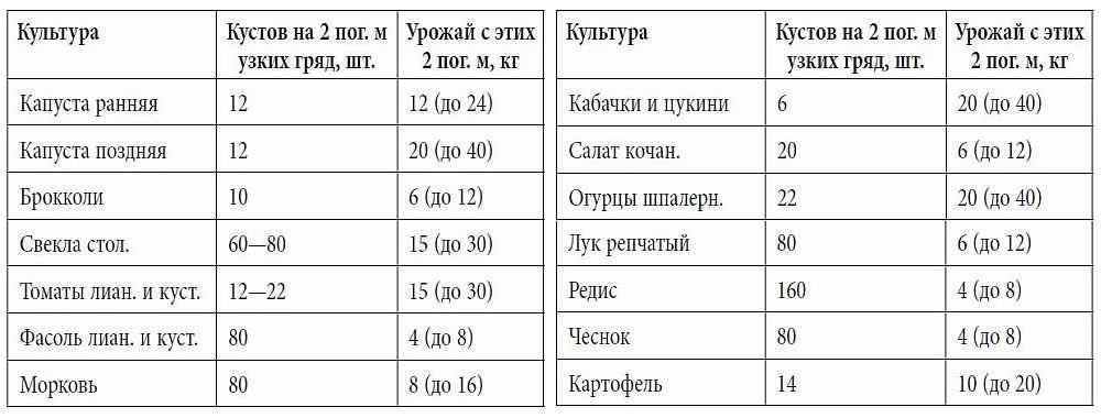 Огород для ленивых и умных: как сделать удобные и урожайные грядки